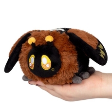 Snacker Death's-head Hawkmoth