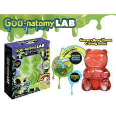 Goo-natomy Lab Jelly Bear