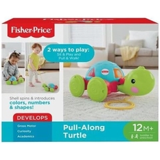 Pull-Along Turtle