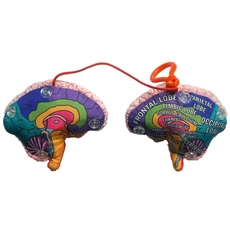 Brain Model key chain
