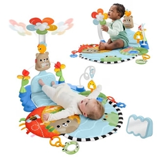 Kick & Sway Activity Gym