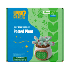 Which Craft Succulent Potted Plant