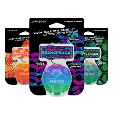 Gradient Bounce Back x Moon Ball